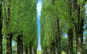 L'Allee Des Peupliers